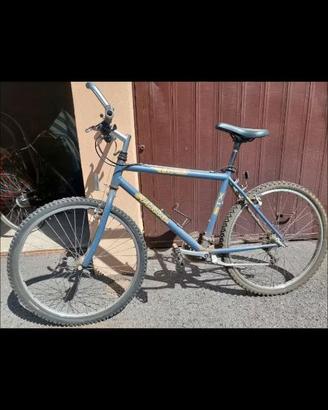 Bicicletta atala