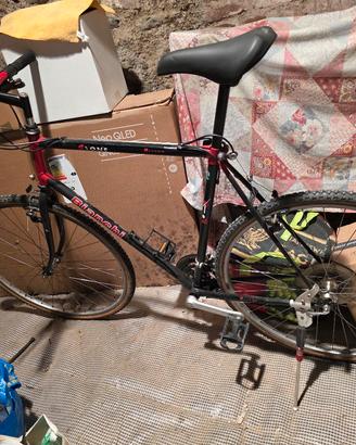 Bicicletta Bianchi Vintage  (Taglia L/Xl)