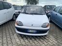 fiat-seicento-900i-cat-young