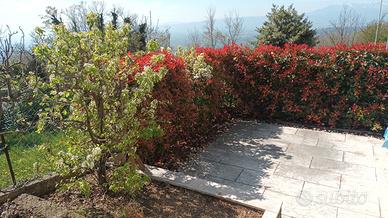 Appartamento a Lusiana Conco (VI)