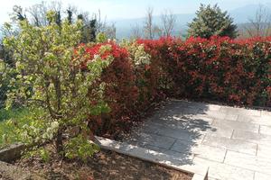 Appartamento a Lusiana Conco (VI)