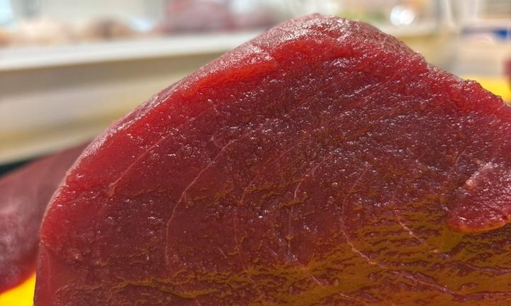 Ristorante Sushi Take Away Forti incassi