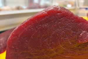 Ristorante Sushi Take Away Forti incassi