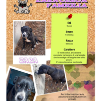 Una famiglia per Zara