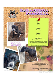 Una famiglia per Zara