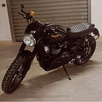 Triumph Thruxton 900 - 2013