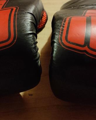 guanti da allenamento boxe 