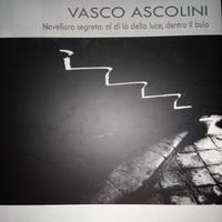 Vasco Ascolini - Novellara segreta