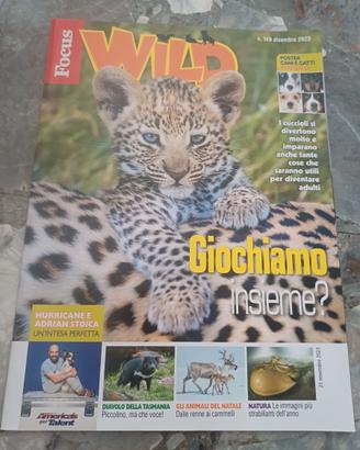 Lotto libri per ragazzi