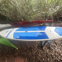 Bic Sup 10.6