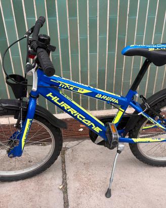 Bicicletta bambino 9 anni