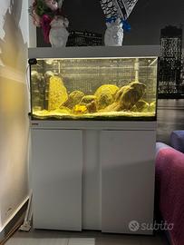 Acquario Eheim Vivaline LED 126 - Completo