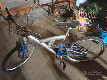 bicicletta 