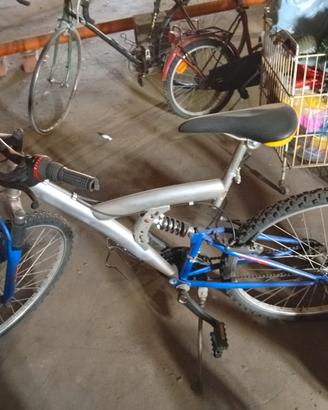 bicicletta 