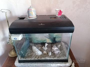 ACQUARIO