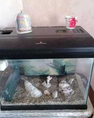 ACQUARIO