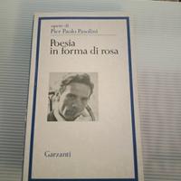 libro Pier Paolo Pasolini 