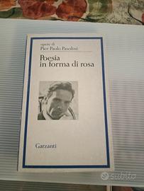 libro Pier Paolo Pasolini 
