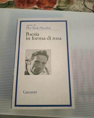 libro Pier Paolo Pasolini 