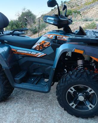 Quad 300 Mammuth  immatricolato Febbraio 2026