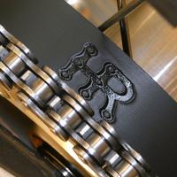 Hard Ring, prevenzione caduta catena.