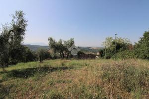 TER. RESIDENZIALE A MONTOPOLI DI SABINA