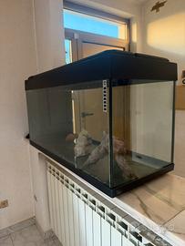 Acquario 200lt