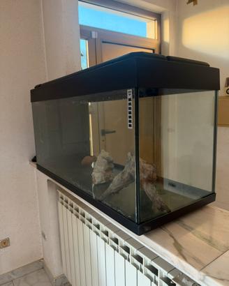 Acquario 200lt