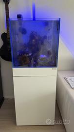 Acquario Marino 50x50x50 e Mobile