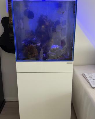 Acquario Marino 50x50x50 e Mobile