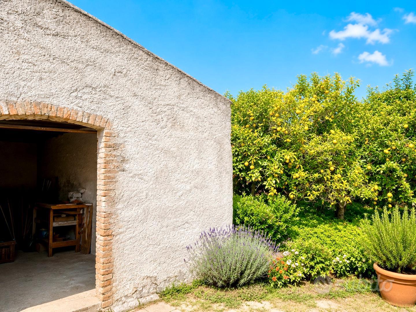Agricolo con magazzino - Vista 2