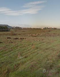 Terreno Molentargius di 8.800 mq