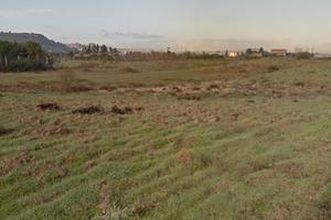 Terreno Molentargius di 8.800 mq