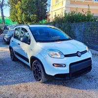 FIAT New Panda 1.0cc HYBRID GSE CITYLIFE 70cv BL
