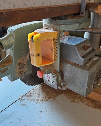 sega radiale dewalt