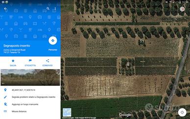 Terreno agricolo vigneto primitivo igp montefusco