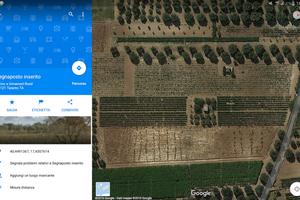 Terreno agricolo vigneto primitivo igp montefusco