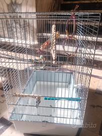 gabbia per uccelli 
