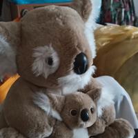 peluches koala con piccolino 