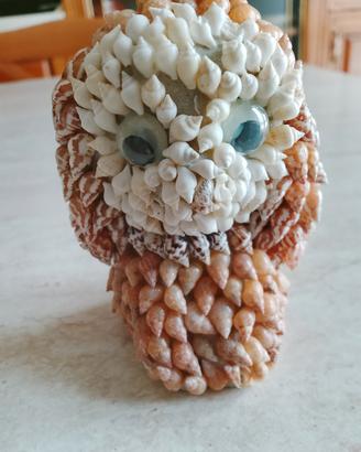 gufetto di conchiglie 