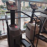 Stepper professionale Life Fitness