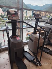 Stepper professionale Life Fitness