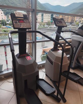 Stepper professionale Life Fitness