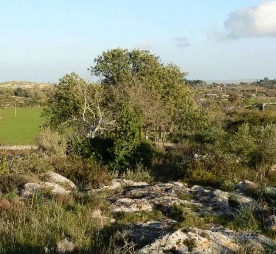 Terreno con caseggiato e piscina - Vista 3