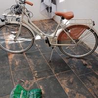 bici donna Alpina bike modello Olanda 