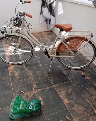 bici donna Alpina bike modello Olanda 