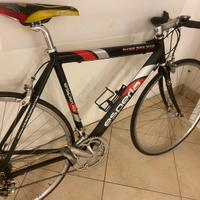 Bici da corsa ESPERIA - Misura M