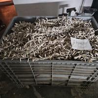 stringhe led passo 5 natale