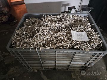 stringhe led passo 5 natale