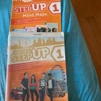 Step up 1